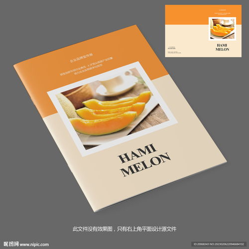 甜蜜之約 哈密瓜產(chǎn)品宣傳畫冊(cè)封面設(shè)計(jì)