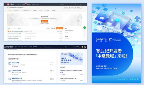 賦能創新 寒武紀多維度技術支撐，驅動開發者能力躍升與應用軟件開發新浪潮